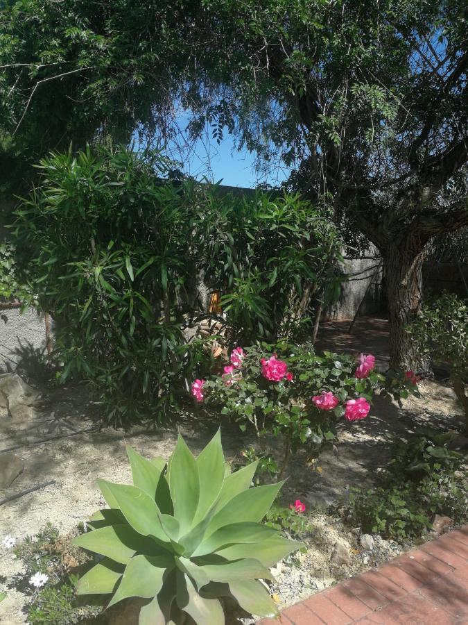 Finca San Diego, Villa Entera Para Ti Vallonga エクステリア 写真