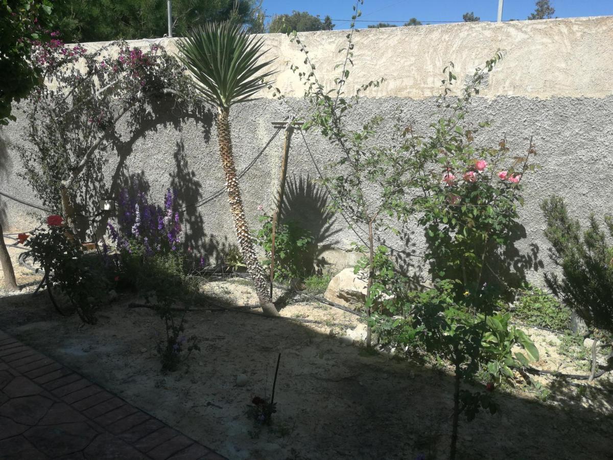 Finca San Diego, Villa Entera Para Ti Vallonga エクステリア 写真